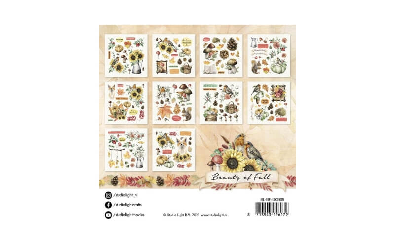Beauty van de Herfst Studio Light