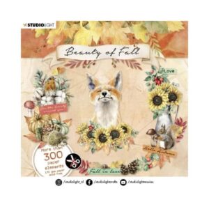 Beauty van de Herfst Studio Light