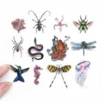 Biophilia-Micro-Collectie-1-Scrapboeken.nl_.jpg