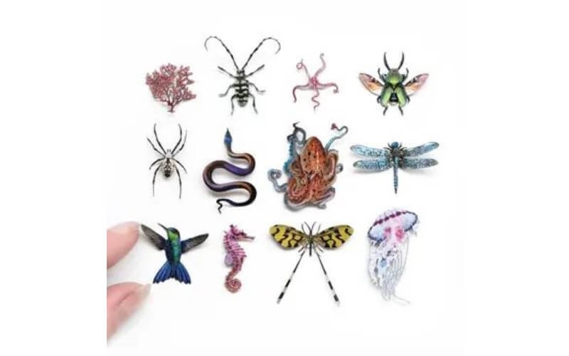 Biophilia Micro-collectie Moth and Myth