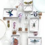 Biophilia-Micro-Collectie-2-Scrapboeken.nl_.jpg