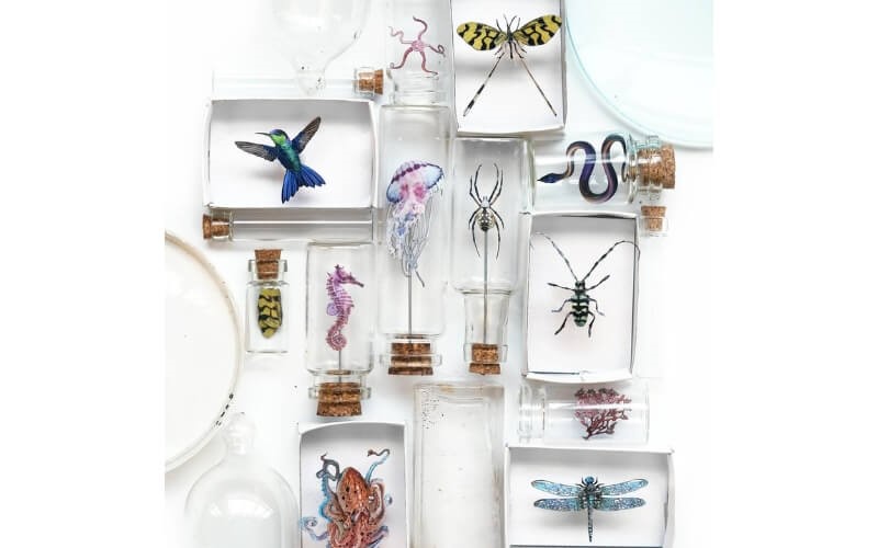 Biophilia Micro-collectie Moth and Myth