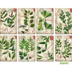 Bladeren-Mini-Plakboekpapier-Scrapboeken-1-1.jpg