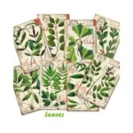 Bladeren-Mini-Plakboekpapier-Scrapboeken-2.jpg