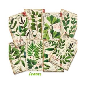 Plakboekpapier Mini Bladeren Decorer