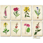 Bloemen-Mini-Plakboekpapier-Scrapboeken-1-1.jpg