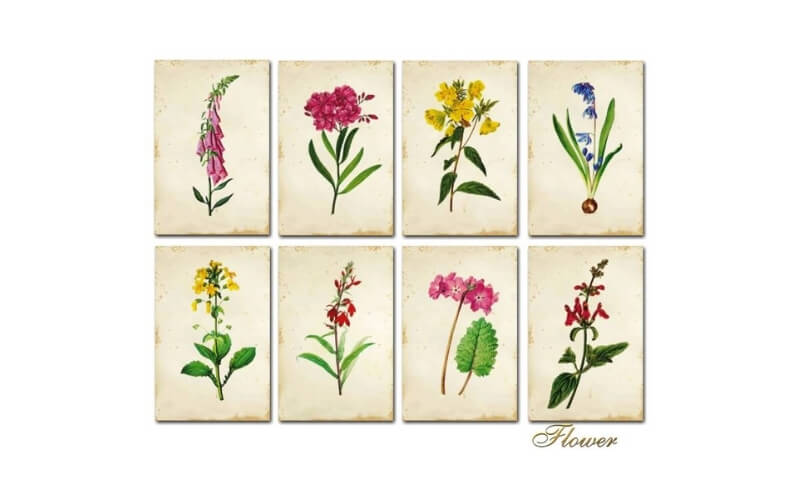 Plakboekpapier Mini Bloemen Decorer