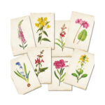 Bloemen-Mini-Plakboekpapier-Scrapboeken-2.jpg