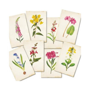 Plakboekpapier Mini Bloemen Decorer