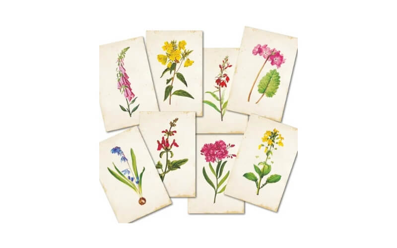 Plakboekpapier Mini Bloemen Decorer