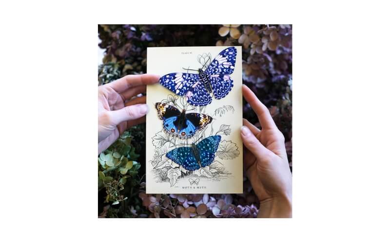 Celestrial Vlinders Moth and Myth