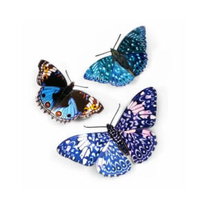 Celestrial Vlinders Moth and Myth