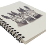 Charlotte-Nicolin-notitieboek-105×148-Amigos-ezels-02.jpg