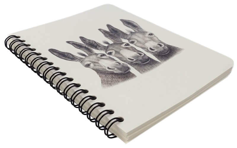 Notitieboek "Amigos" A6 Ezeltjes Charlotte Nicolin