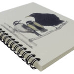 Charlotte-Nicolin-notitieboek-105×148-Morning-Conversation-vogels-02.jpg