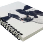 Charlotte-Nicolin-notitieboek-105×148-Rosa-koe-02.jpg
