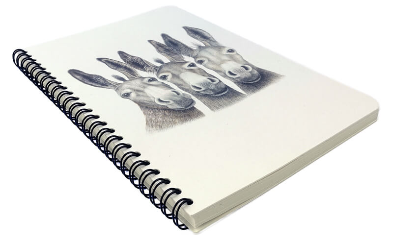 Notitieboek "Amigos" A5 Ezeltjes Charlotte Nicolin