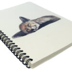 Charlotte-Nicolin-notitieboek-148×210-Felix-vos-02.jpg