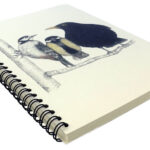 Charlotte-Nicolin-notitieboek-148×210-Morning-Conversation-vogels-02.jpg