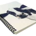 Charlotte-Nicolin-notitieboek-148×210-Rosa-koe-02.jpg