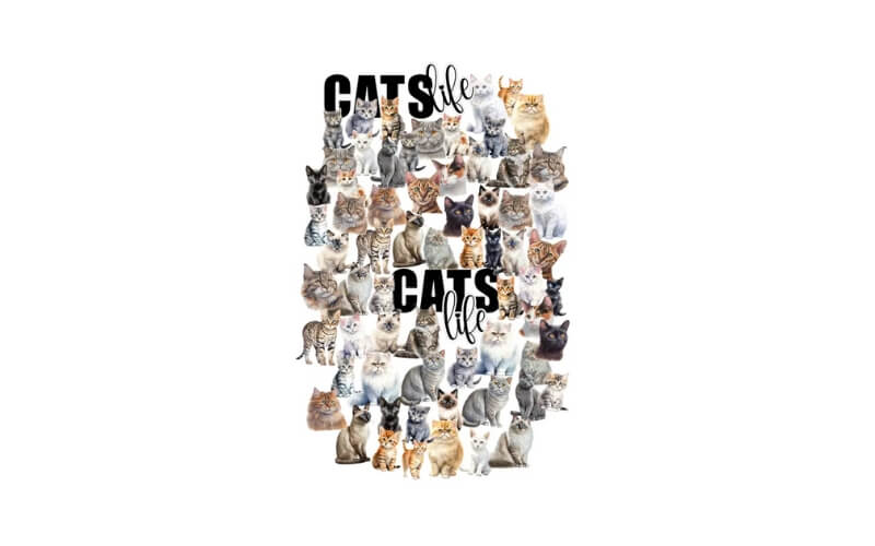 Die Cuts Katten Willow & Grace