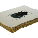 Epigram-Carnet-notitieboek-15x20cm-Kever-02.jpg