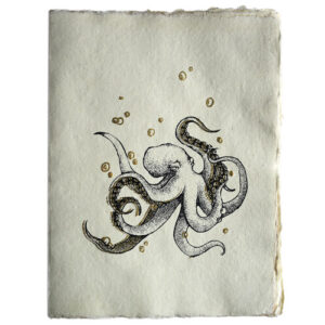 Notitieboek Octopus A5 Perkament Epigram