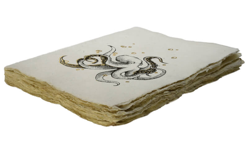 Notitieboek Octopus A5 Perkament Epigram