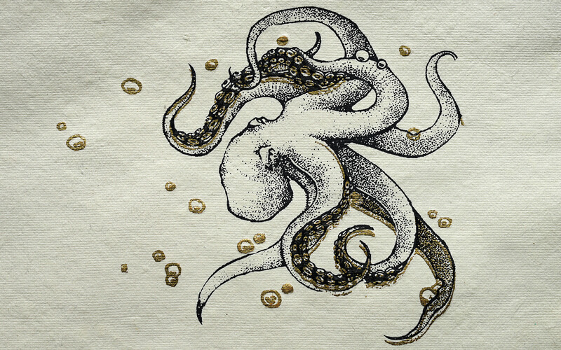 Notitieboek Octopus A5 Perkament Epigram
