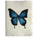 Epigram-Carnet-notitieboek-15x20cm-Vlinder-Blauw-01.jpg