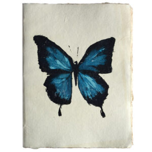 Notitieboek Blauwe-Vlinder A5 Perkament Epigram
