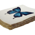 Epigram-Carnet-notitieboek-15x20cm-Vlinder-Blauw-02.jpg