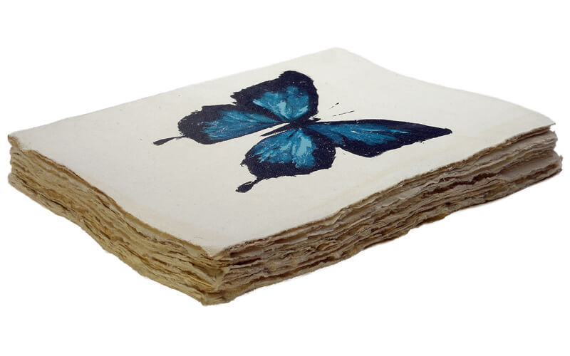 Notitieboek Blauwe-Vlinder A5 Perkament Epigram
