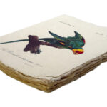 Epigram-Carnet-notitieboek-15x20cm-Vogel-A-02.jpg