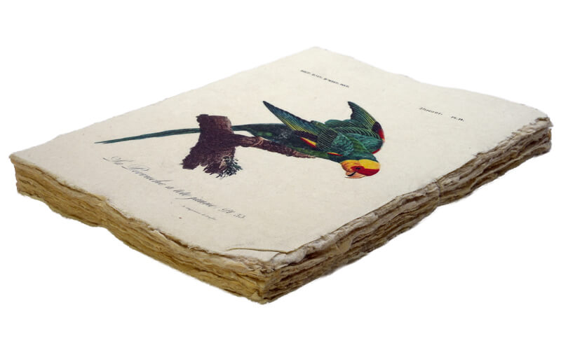 Notitieboek Parkiet A5 Perkament Epigram
