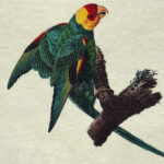 Epigram-Carnet-notitieboek-15x20cm-Vogel-A-03.jpg