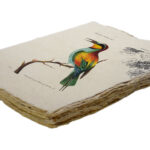 Epigram-Carnet-notitieboek-15x20cm-Vogel-C-02.jpg