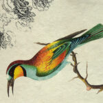 Epigram-Carnet-notitieboek-15x20cm-Vogel-C-03.jpg