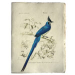 Epigram-Carnet-notitieboek-15x20cm-Vogel-D-01.jpg