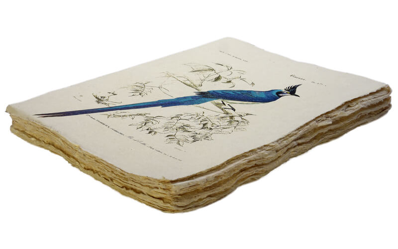 Notitieboek Blauwe vogel A5 Epigram