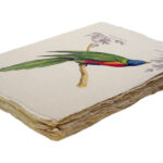 Epigram-Carnet-notitieboek-15x20cm-Vogel-E-02.jpg