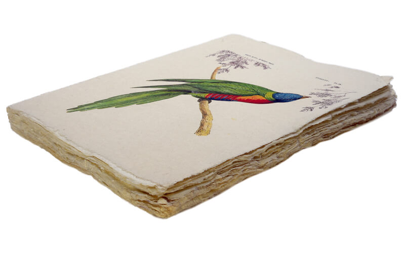 Notitieboek Tropische vogel A5 Epigram