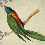 Epigram-Carnet-notitieboek-15x20cm-Vogel-E-03.jpg