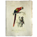 Epigram-Carnet-notitieboek-15x20cm-Vogel-F-01.jpg