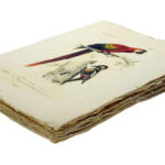 Epigram-Carnet-notitieboek-15x20cm-Vogel-F-02.jpg