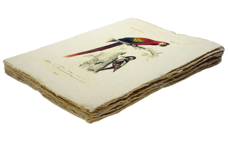 Notitieboek Ara A5 Perkament Epigram