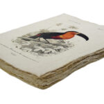 Epigram-Carnet-notitieboek-15x20cm-Vogel-G-02.jpg