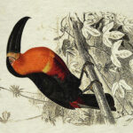Epigram-Carnet-notitieboek-15x20cm-Vogel-G-03.jpg