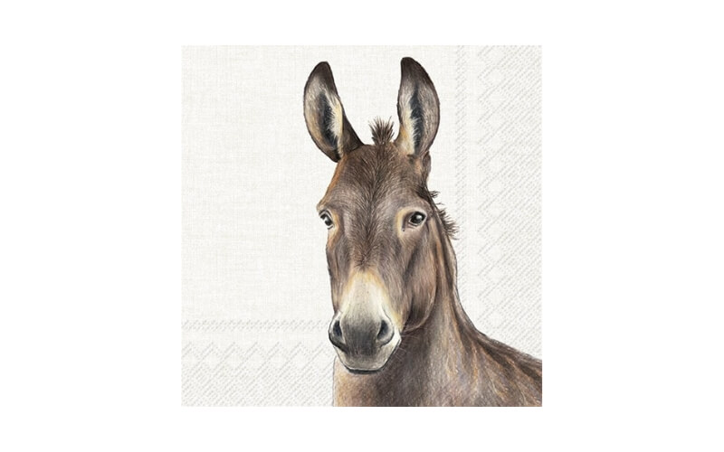 Farm Donkey Lunch Servetten 20st. IHR