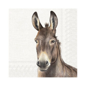 Farm Donkey Lunch Servetten 5st. IHR